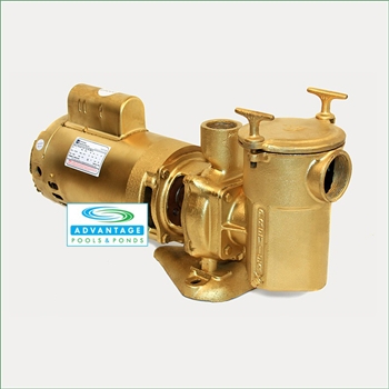 Commercial Duty Bronze Single Speed 115/230 Volts In-Ground Pool Pump Available in 3/4HP - 3HP