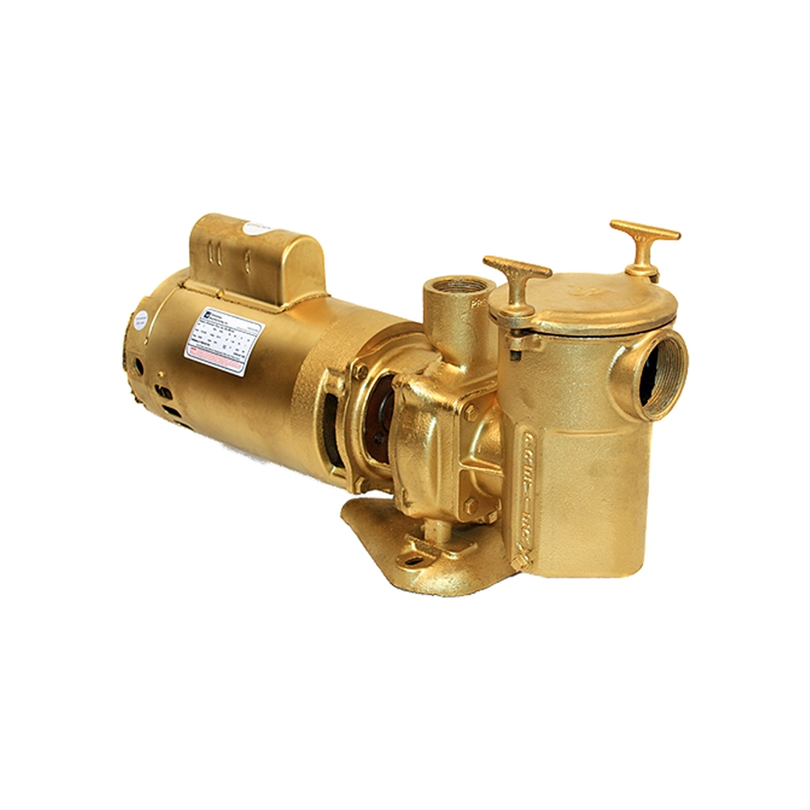 1.5 HP Bronze Pump